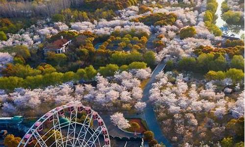 五一适合情侣旅游的地方_五一适合情侣旅游