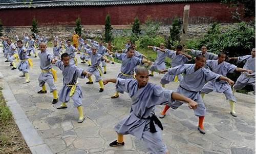 嵩山少林寺武僧团培训基地_嵩山少林寺武僧团培训基地少林功夫表