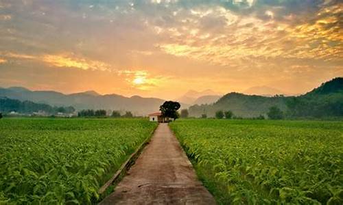 农村自然风景_农村自然风景图片