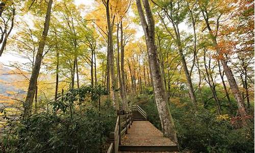 光雾山旅游攻略自驾_光雾山旅游攻略自驾游路线